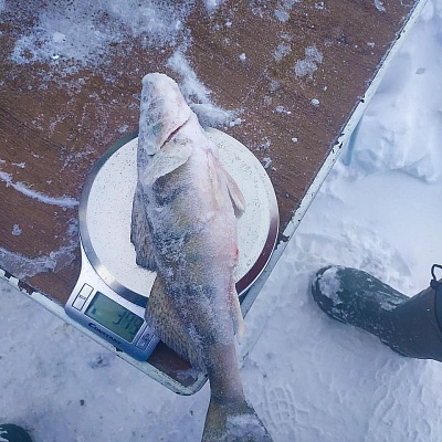 VII Зимние открытые соревнования по подледной рыбалке на призы ООО "Казанские Стальные Профили"